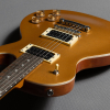 aged goldtop color